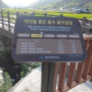 봉수면사무소 이미지