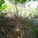 공군제8249부대 이미지