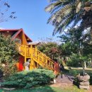 물댄동산 통나무펜션 이미지