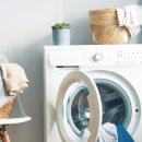 폴리크롬 이미지