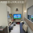 키즈앤주니어치과의원 이미지