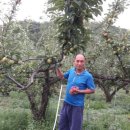 혜영농장 이미지