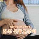 주현전자 | 청주 산후도우미 업체 비교 후기(둘째맘 28주)