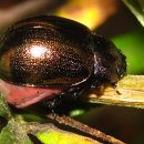 흑성산약수 이미지