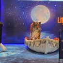 라이프 센터 | 박정민 출연 뮤지컬 라이프오브파이 GS아트센터 관람 후기