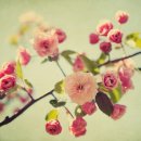 우리 늘 이미지