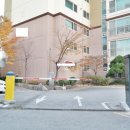아파트장수 Daum카페