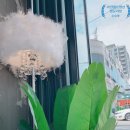 마린캠프펜션 이미지