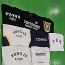 백호태권도체육관 이미지