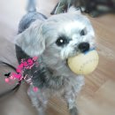 짱구주유소 이미지