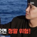 라이언피시 이미지