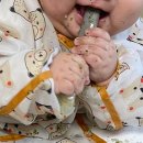 [ 👶🏻 초기 이유식 ] 식단표짜기, 친환경 재료 구입