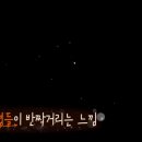 소망투어