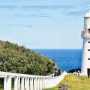 등대김밥 이미지