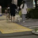 조이화학 이미지