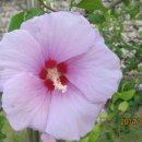 안녕들 하신지요,, 이미지