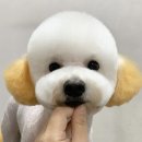 희동이의 하루 이미지