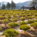 반송목장 이미지