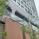 중앙미용실 - 춘천시 소양로 184-1 | 광교중앙역 미용실 차홍룸 슬릭컷 볼륨매직 상세후기 (심예진 디자이너님)