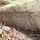 부산박물관 야외 이미지