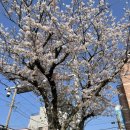 표선수산마트