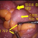 엠에스병원 이미지