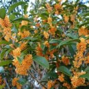 영암군청 이미지