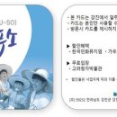 강진스테이오소 이미지