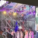 푸파501 이미지