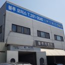 블루카모터스 이미지