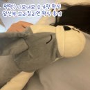 더 네모 | 평택 왁싱 전문점 추천:) 니모네모 슈가링 왁싱 임산부 왁싱 솔직후기