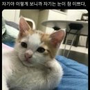 포도약국 이미지