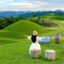 아카 27기 제41차 정기산행(함안 백이산~숙제봉) 이미지