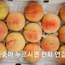 태우농장 네이버블로그
