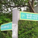 금오름 가는 길 이미지