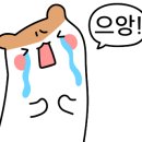 NC대전유성점 화장실 이미지