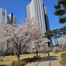 선수촌골드부동산공인중개사사무소 | [공지] 인천 구월동 아시아드선수촌아파트 시세 및 거래동향 분석(2026.04기준)