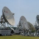 유원무도장 이미지