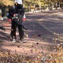 251113 조태용 前국정원장 구속…“증거 인멸 우려” 이미지