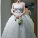 알렉스 | 시즌알렉스 계약 후기 | 시즌알렉스 드레스 모음