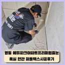 란건축인테리어 - 예산군 두리3길 8 | [영통줄눈]영통 에듀파크아파트 프리미엄 줄눈 욕실,현관 퍼플렉스P30시공후기(Feat.구해줄눈)