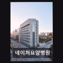 강남구 자연친화 요양병원 네이처요양병원 환자 중심 자연 환경 강조