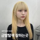 금발탈색 잘하는곳, 진짜 탈색 전문 미용실에서 해야 하는 이유