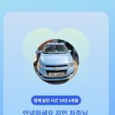 순돌이네펫택시 이미지