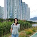 KF94컬러마스크 상공양행 예쁜 베이지마스크 에어쉴드 백조마스크 착용 후기