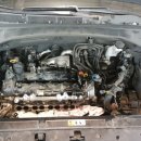 마스타카센타 이미지