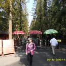 현성목장 이미지