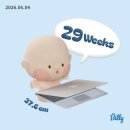 가죽공방만듦 | 임신 29주 일상 / 다리 붓기 압박스타킹 육회 먹어도 될까?