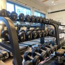 일루고짐 이미지