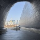 패션과 함께하는 미술세계 | 장 바스키아 서울 전시후기｜겨울 데이트로 좋은 이유!